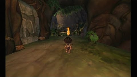 Tak and the Power of Juju widescreen code in Nintendont