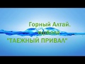 Турбаза "Таёжный привал".  Телецкое озеро.Горный Алтай.