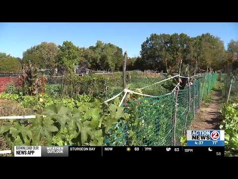 Brown County Community Gardens look to expand