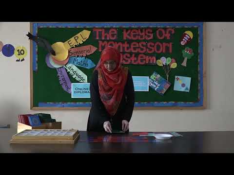 language activities 1 ,Montessori diploma