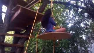 Celebrity Elevator on Treehouse Wealth