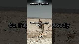 A Simple Biological Contradiction. The Genetic Barrier Evolution Doesn’t Address