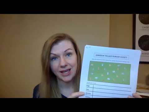 Math Lesson 1   Sorting Data Grade 1
