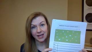 Math Lesson 1   Sorting Data Grade 1