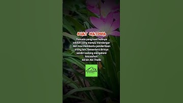 kata motivasi, kata bijak, nesehat, nasihat agama, kata mutiara