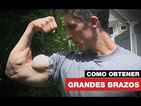 como conseguir biceps grandes como conseguir biceps grandes