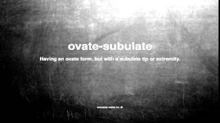 What does ovate-subulate mean