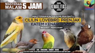 REQUEST MASTERING || CILILIN LOVEBIRD PRENJAK KAPAS TEMBAK KENARI YS GACOR BUAT KACER DAN MB