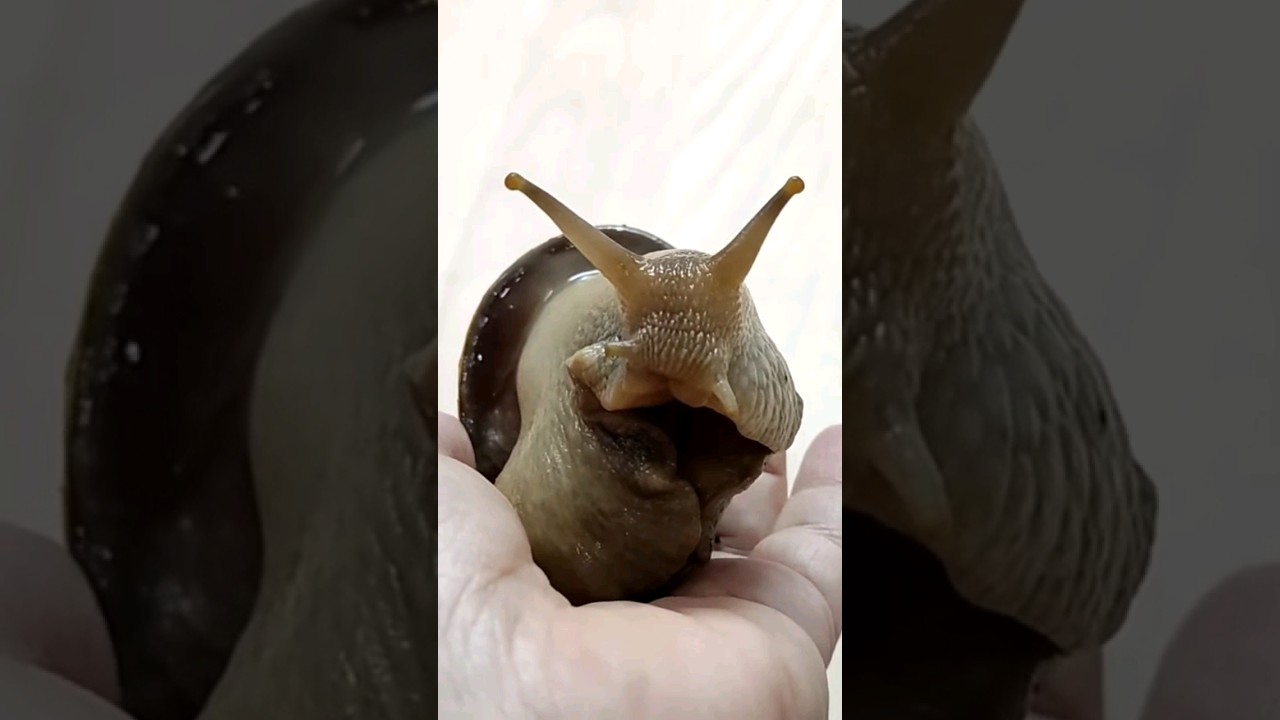 Hi, my name is Bruce! 