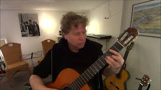 tau mich auf  -Zartmann -   Gitarrencover