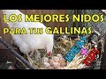 Como HACEr nidos para GALLINAS postura caseros -ideas y tips-