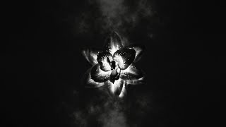 Dancing with a Ghost 🖤 Single premiere: August 16 #dark #gothic #orchestra #neoclassical