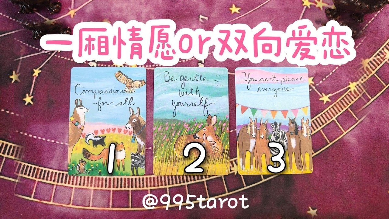 一廂情願or雙向愛戀？【新春特輯】你和TA，是一個人的單戀，還是兩個人的歡喜？【揭秘慎入】|曖昧|愛情|感情|桃花|塔羅占卜|