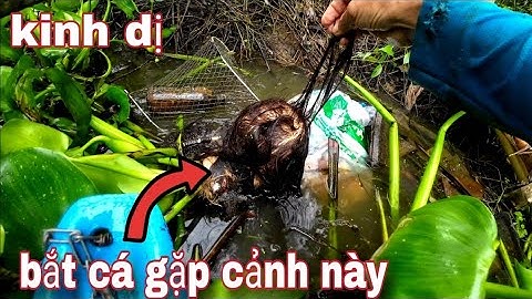 Đặt lờ cá gặp phải cảnh này,,hồn vía lên mây - vũ heo