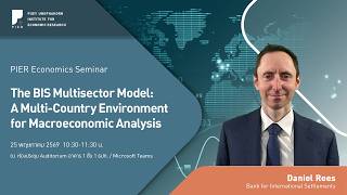 The BIS Multisector Model: A Multi-Country Environment for Macroeconomic Analysis