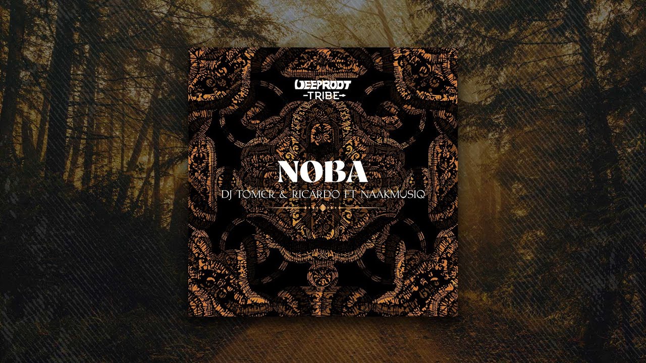 Dj Tomer & Ricardo Ft NaakMusiQ - Noba [Radio Mix]
