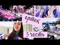 |АРТЕК ВЛОГ 2019| открытие смены на Артек-арене, занятие на флотилии