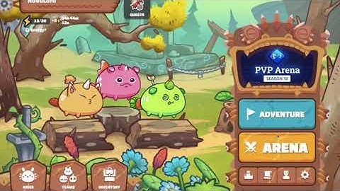 Axie Infinity Arena Beginners Guide