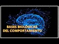 BIENVENIDOS AL CURSO DE BASES BIOLÓGICAS DE LA CONDUCTA (2)