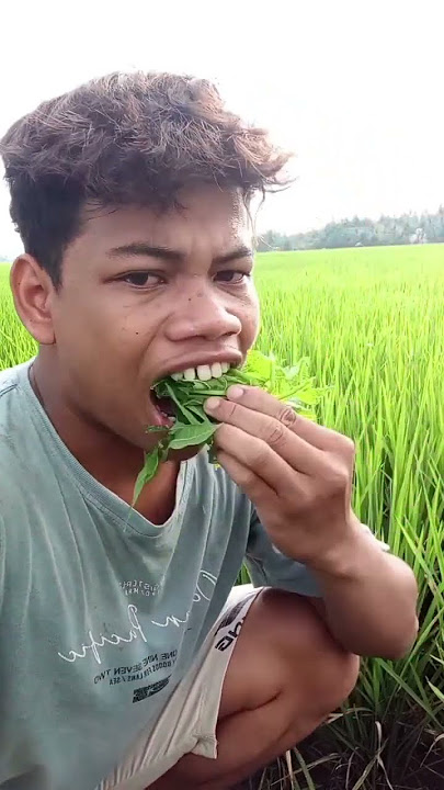 #daun_pepaya