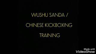 Wushu Sanda / Chinese Kickboxing Training