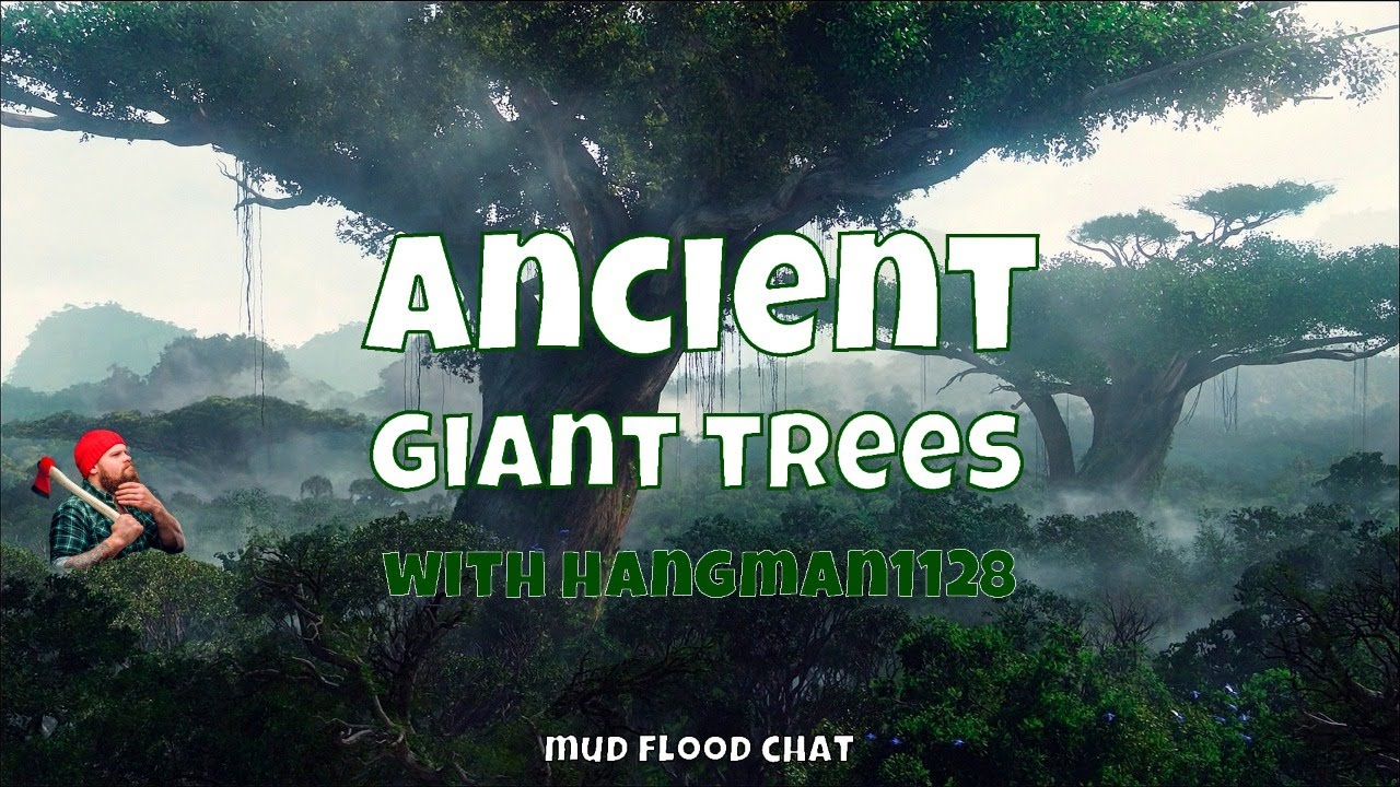 Ancient Giant Trees - Mud Flood Chat with Hangman1128 - YouTube