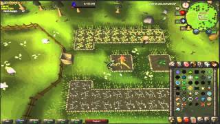 Oldschool Runescape 7 Herb Patch Farm Run