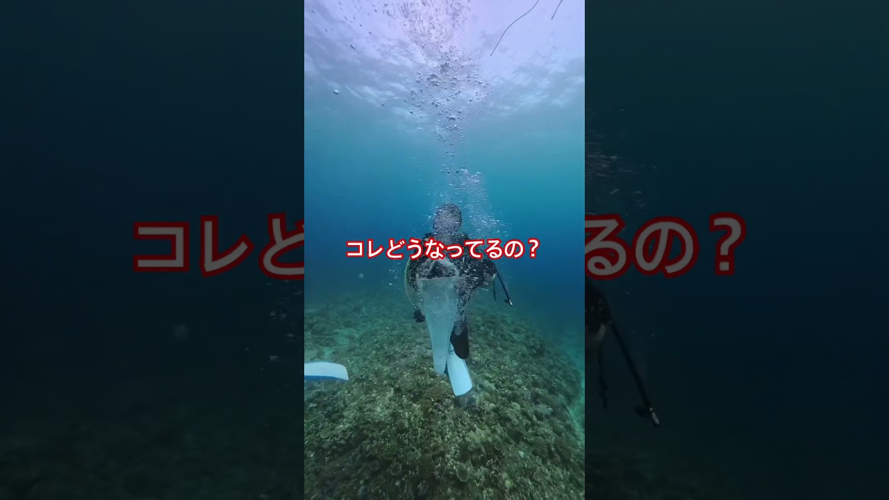 とんでもない能力を出す人