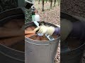 Honey Extracting / Fresh Golden Honey Flow 🍯🐝 #shorts