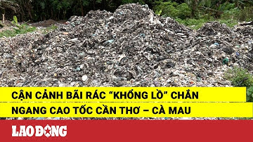 Cận cảnh bãi rác “khổng lồ” chắn ngang cao tốc Cần Thơ – Cà Mau | Báo Lao Động
