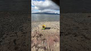 #narvik #automobile #yeniceoba #konya