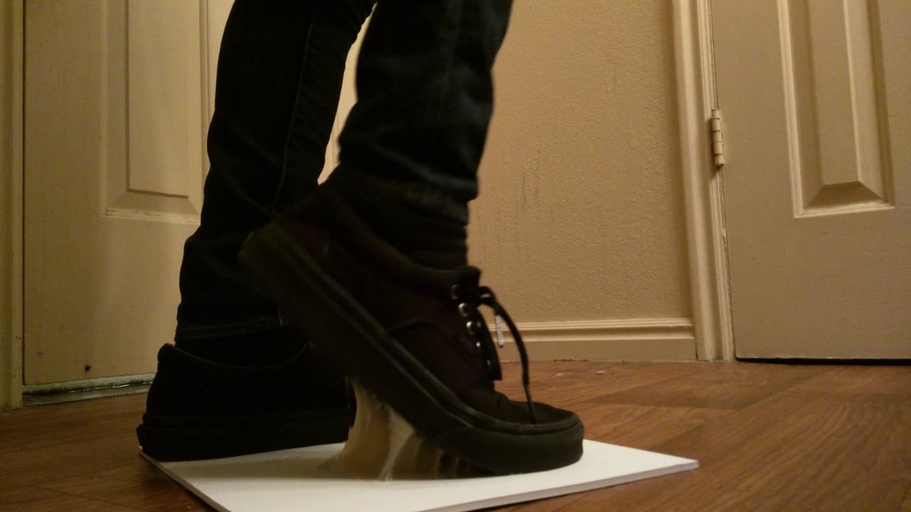 Vans stuck in rat glue YouTube