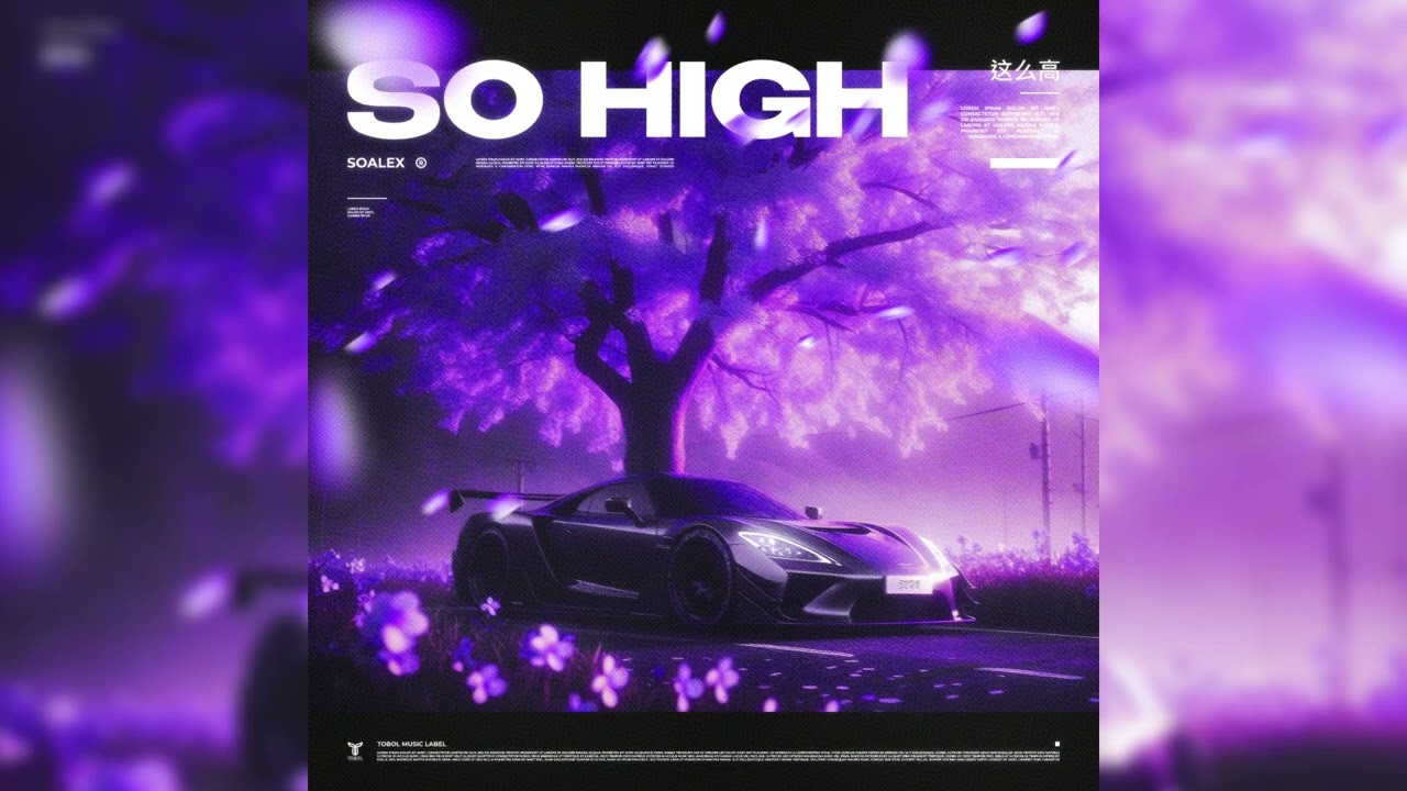 Watch SOALEX - So High on YouTube Watch SOALEX - So High on YouTube