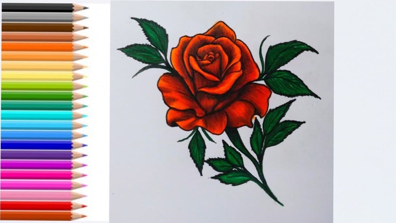 วาดดอกกุหลาบ | How to draw A Rose # 3