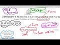 A LEVEL J2009 MATHS ZIMSEC EQUATIONS QUESTIONS