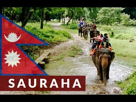 A Day in Sauraha, Chitwan / #VisitNepal | Travel Diaries