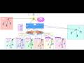 Design a Secure and Smart Campus Network Using AI | Part 2: Network Design Using Packet Tracer