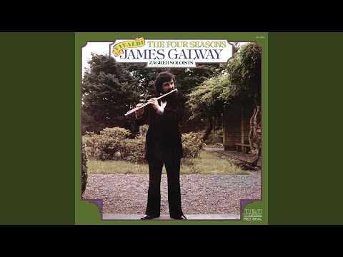 Concerto No. 2 in G Minor, RV 315 "Summer": II. Adagio
