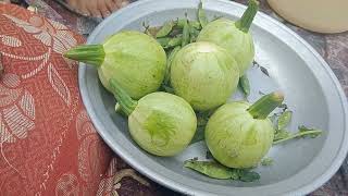 jis ko ya vegetable basand ha to like kry ,/ sabscribe b kr diya kry my channal