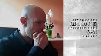 Red Dead Redemption 2 (House Building Theme) HARMONICA Seydel Session Steel (LF) Red Dead Redemption 2 (House Building Theme) HARMONICA Seydel Session Steel (LF)