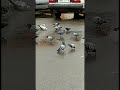 حمام محطات كلميم