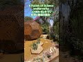 Fukuoka Flower Show 2026行ってきた! #FukuokaFlowerShow2026 #福岡市植物園 #今日の福岡