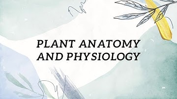Discussion: Plant Anatomy and Plant Physiology