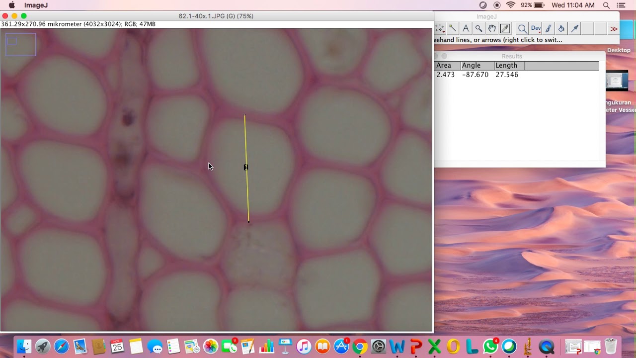 Pengukuran Dimensi Serat menggunakan ImageJ