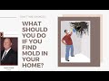 What Should You Do If You Find Mold in Your Home? | Toxic Mold Attorney |