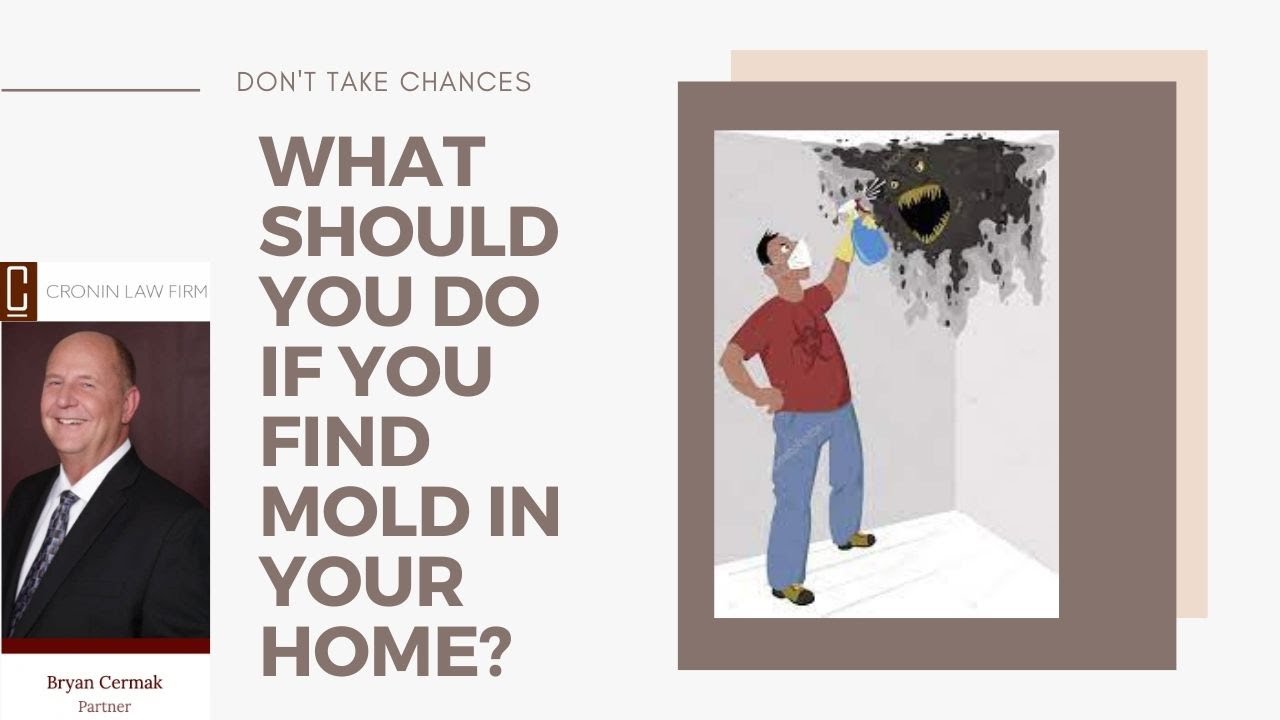 What Should You Do If You Find Mold in Your Home? Toxic Mold Attorney