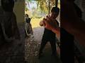 POV you help a girl #shorts #trendingshorts #martialarts #pov #kungfu