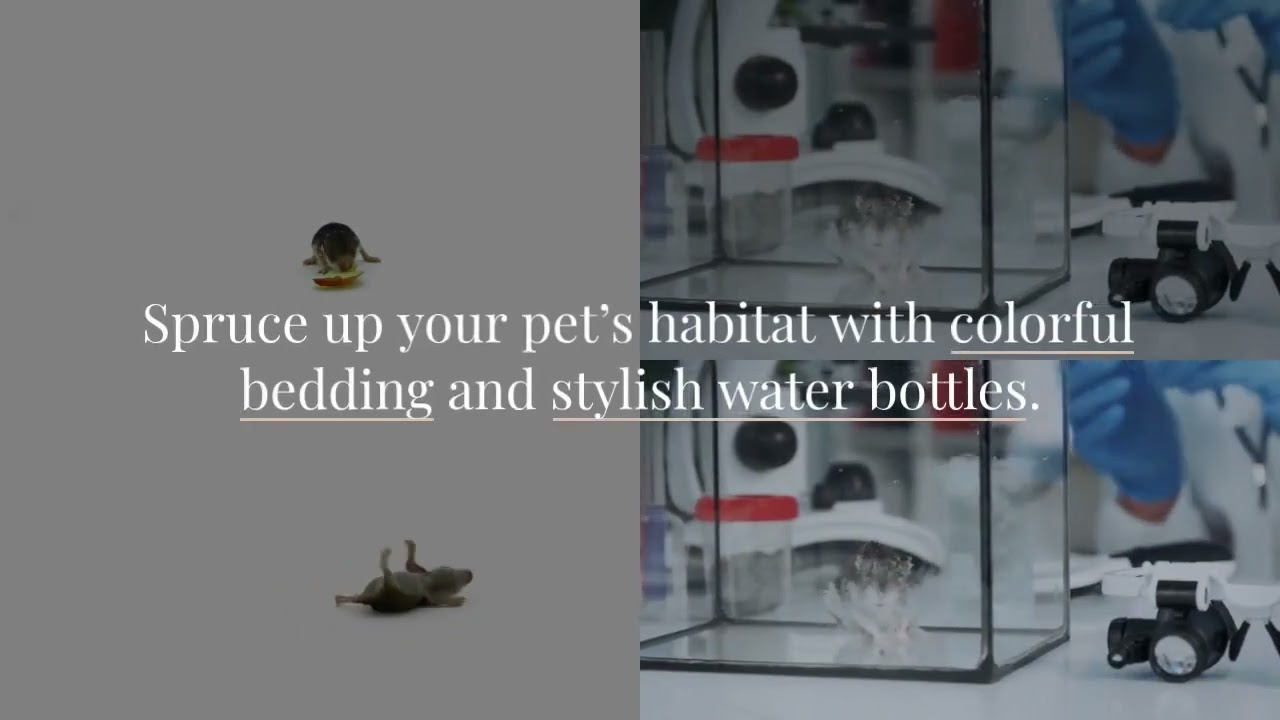 Enhancing Your Furry Friend Comfort With Small Pet Products