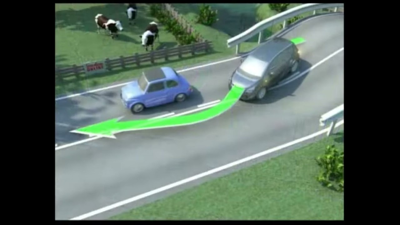 Segnaletica orizzontale. Italian driving school in Pidgin.