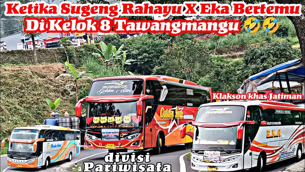 Klakson Khas Bus Jatiman || Moment Sugeng Rahayu dan Eka melewati Kelok 8 Tawangmangu 